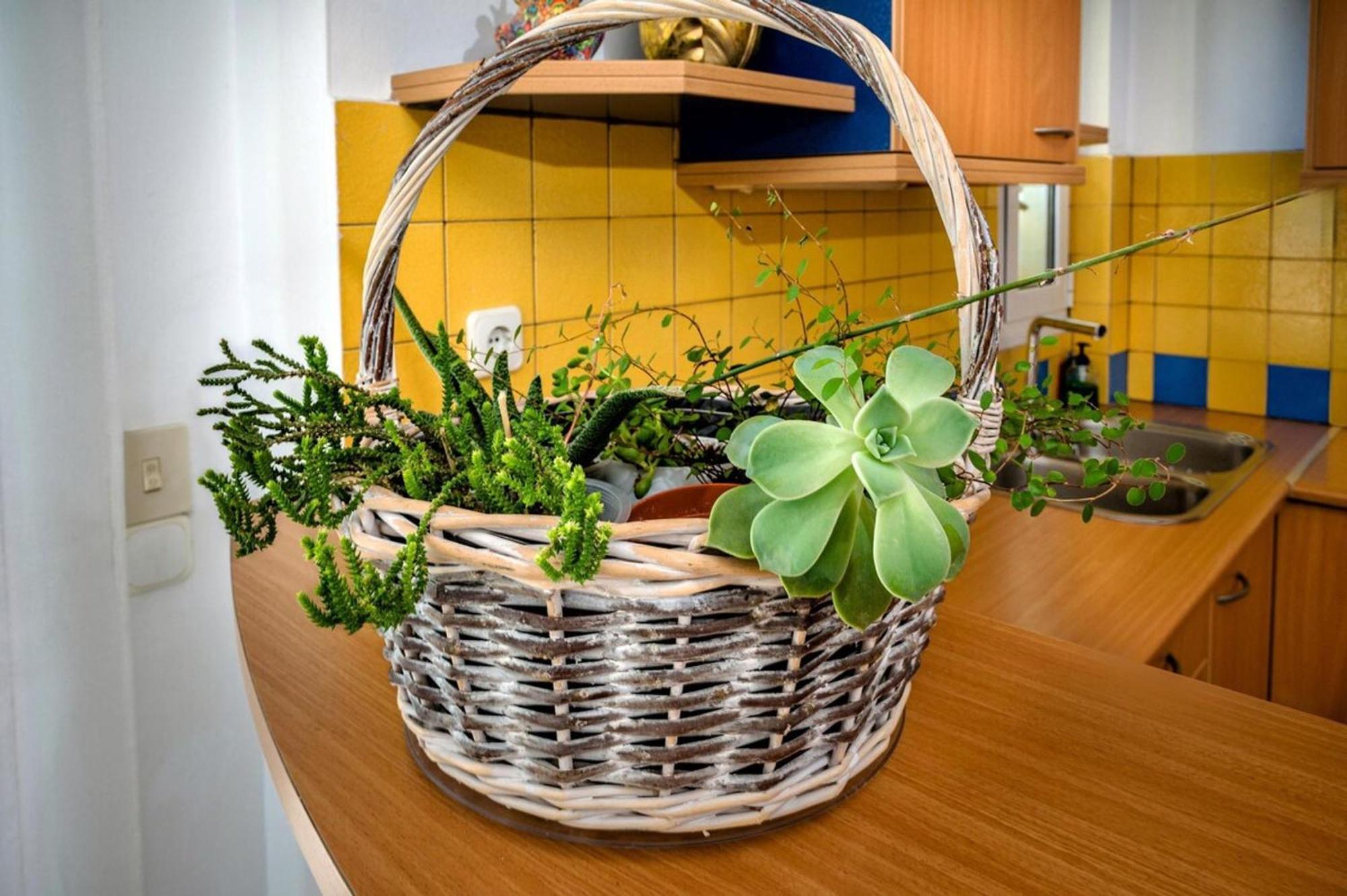 Marele Center By Cretan Apartment
